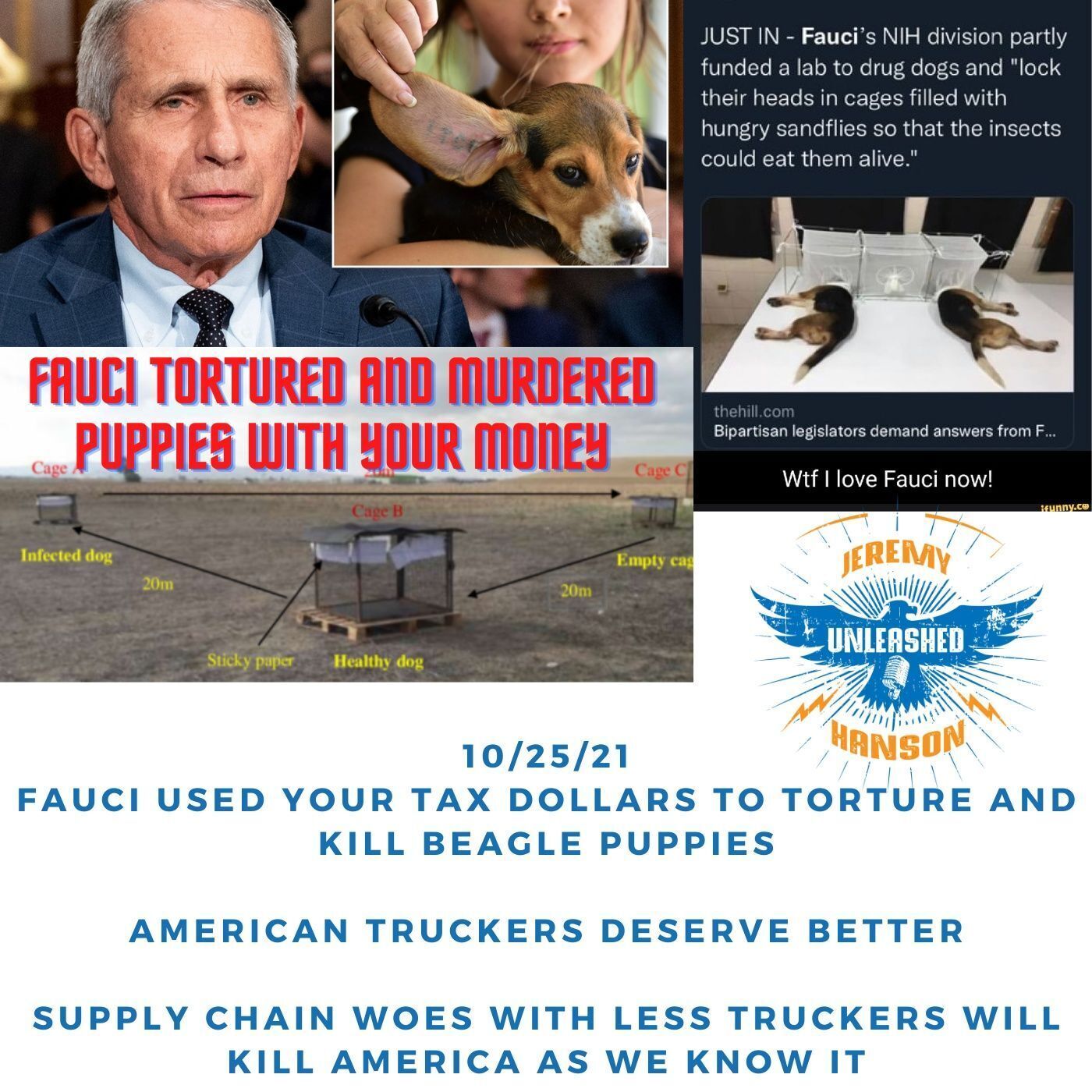 OUTRAGE Dr. Fauci used your American tax dollars to torture and murder beagle puppies in 3 different labs!